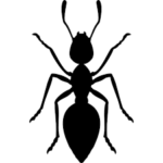 Ant Control