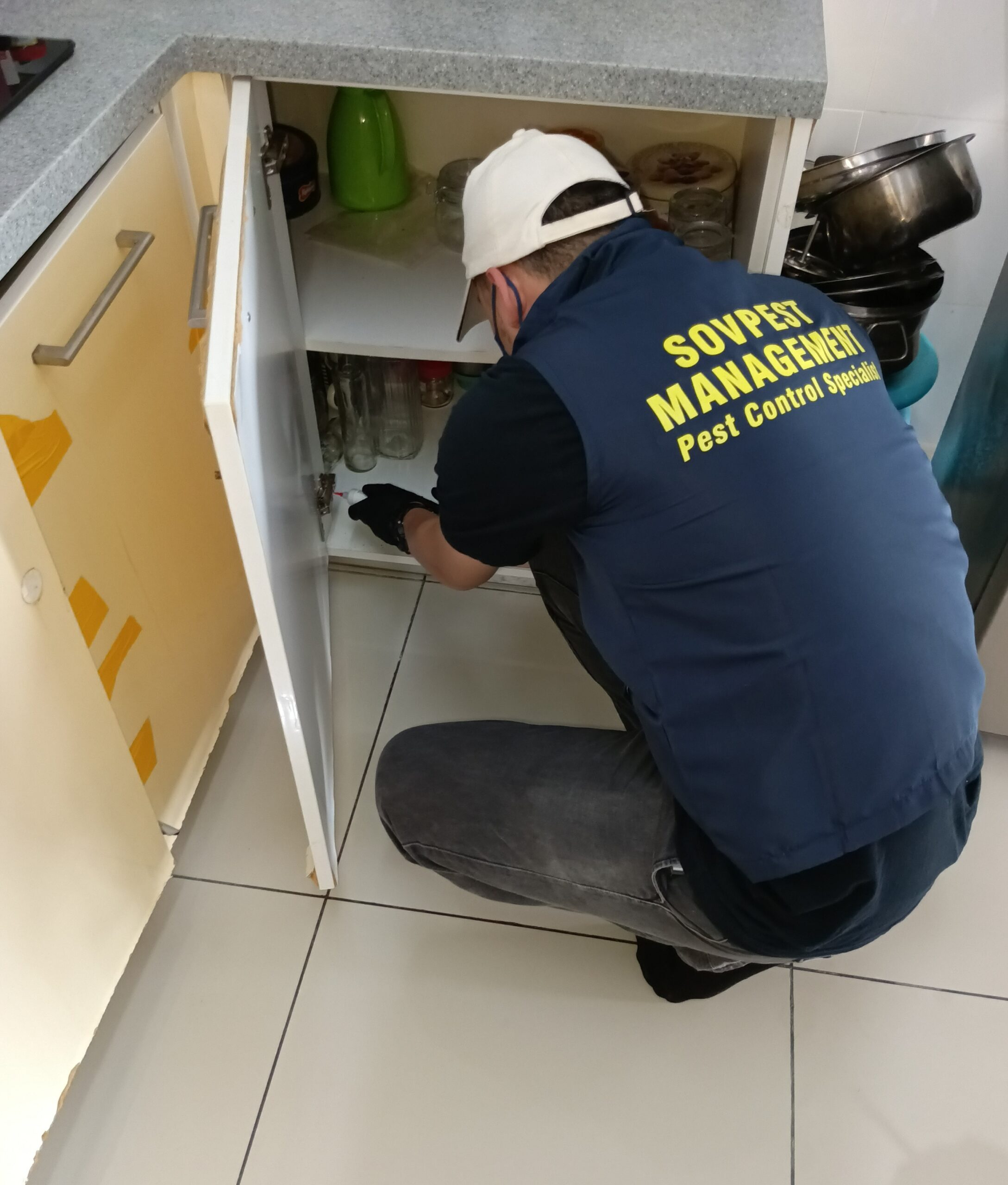 Pest Control treatment at puchong