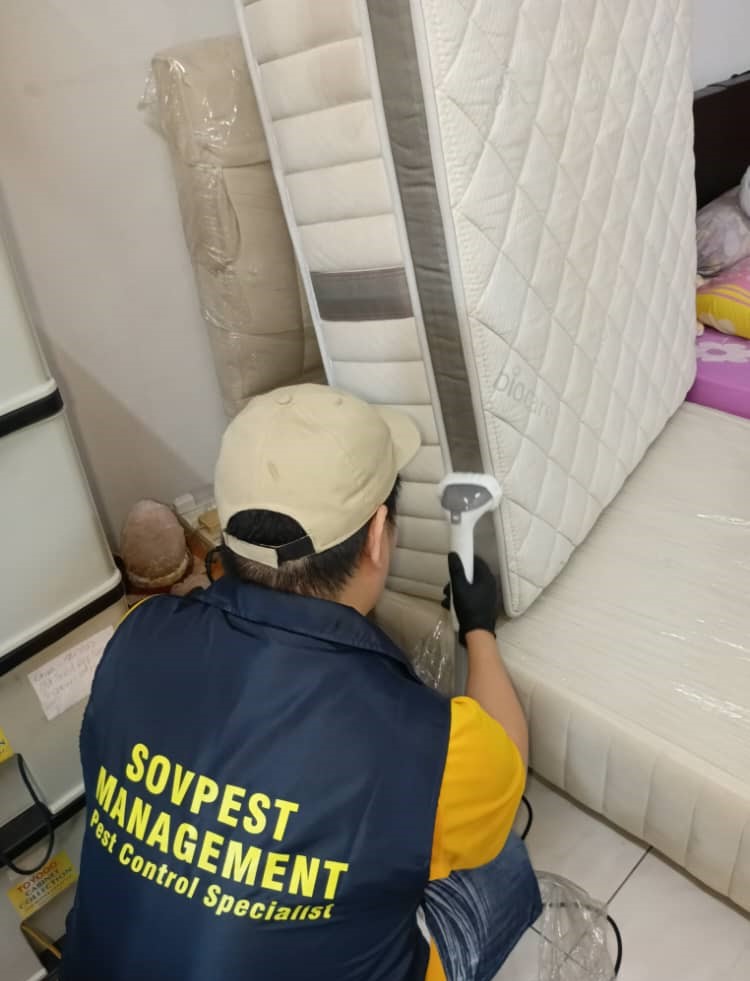 Pest Control in Kepong - Bedbug Control
