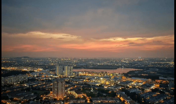 pest control in Puchong