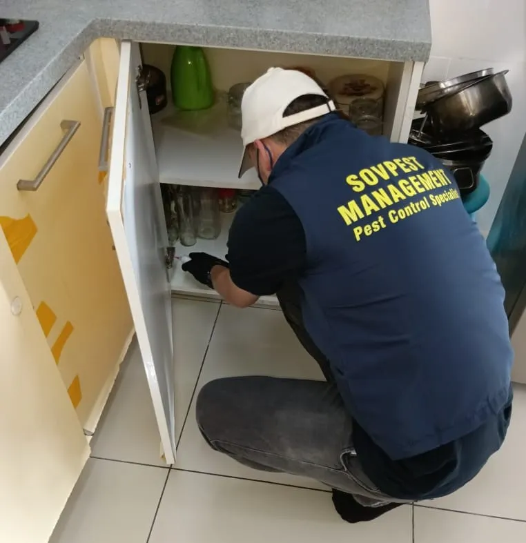 Pest Control treatment at puchong